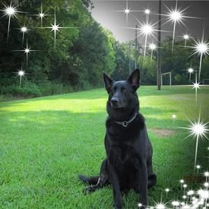 Meet your Posher, Karl